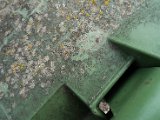Lichens Lullier-9.jpg